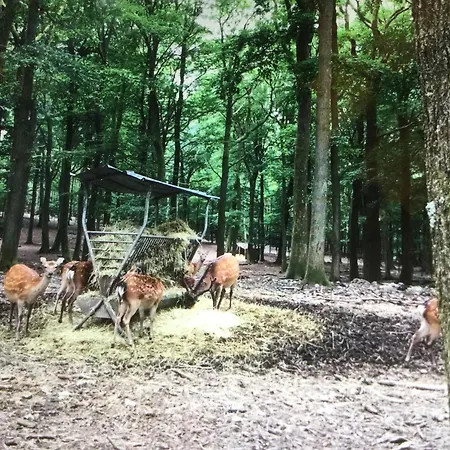 La Nouchettiere بيت للعطل